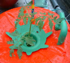 �z�[���n�C�|�j�J�@�ƒ�؉��~�j�g�}�g